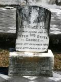 image of grave number 698565